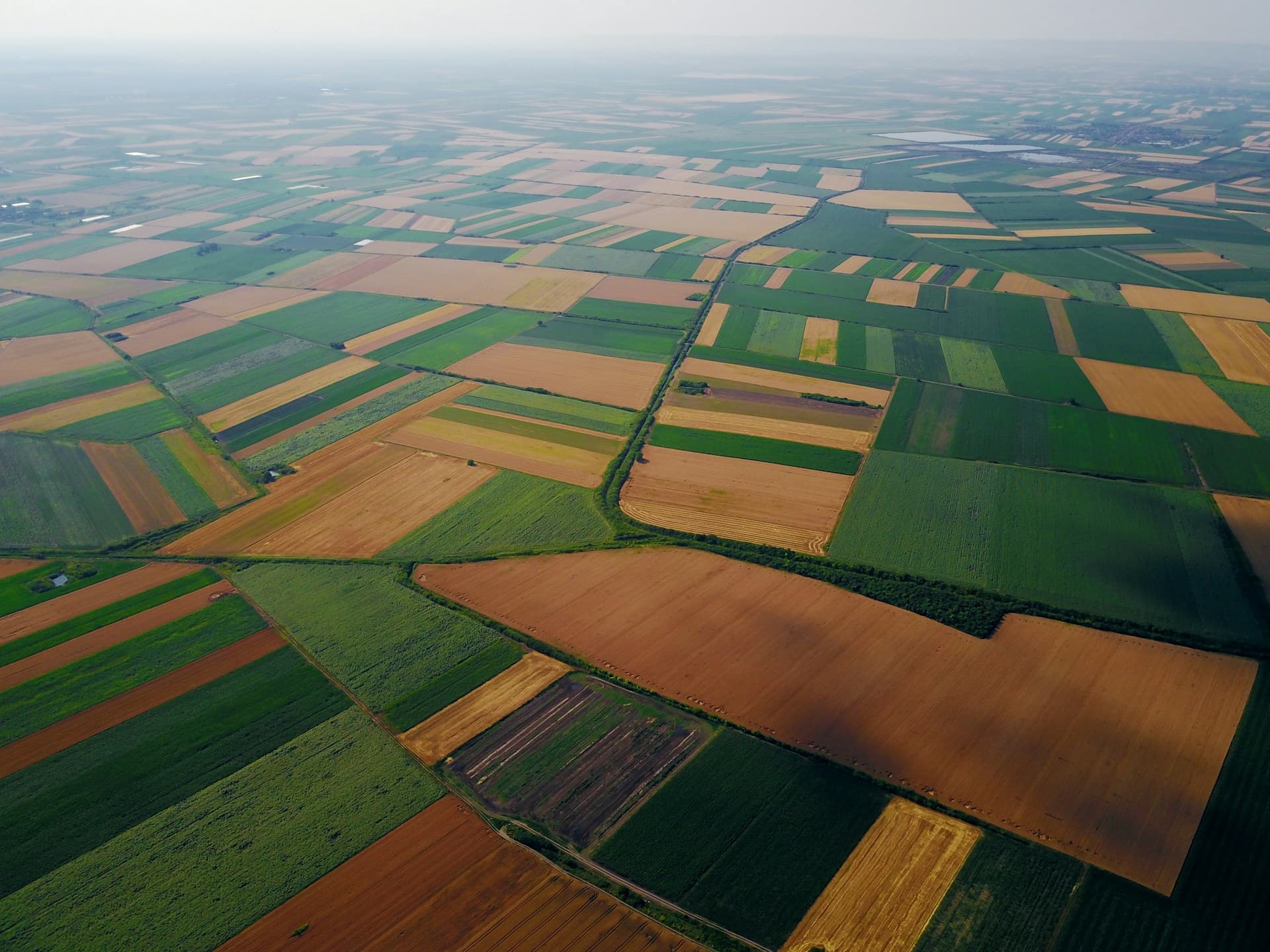Mapping & Multispectral analysis